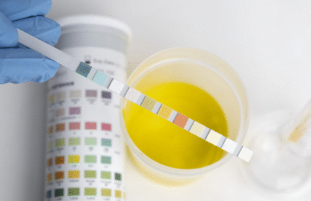 reduce scale on appliances